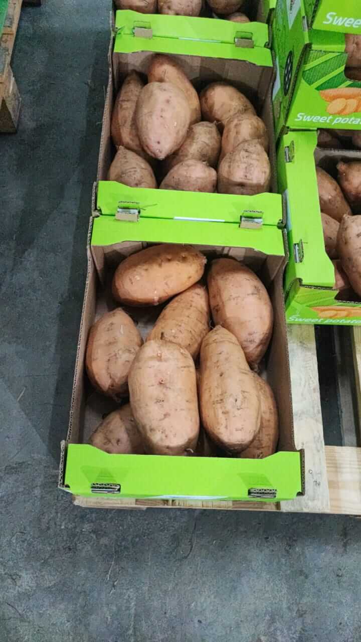 Sweet Potato Packaging